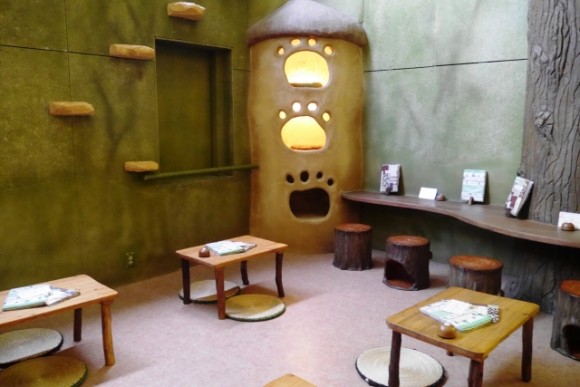 What's Cat Cafe? 7 Interesting Tips About Neko Cafe!