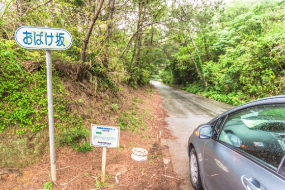 7 Helpful Tips to Drive a Rental Car in Japan!