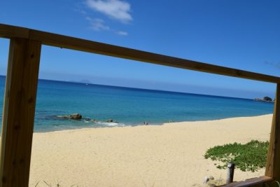 8 Attractive Points about Yakushima Island!beaches