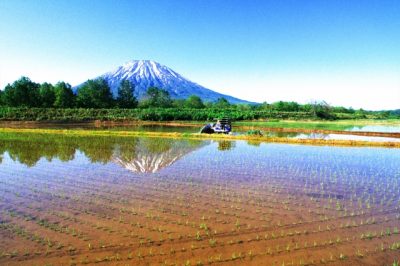 8 Amazing Tour Spots in Hokkaido!Niseko