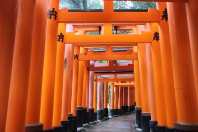 8 Best Japan Shrines You Must Visit!fushimi