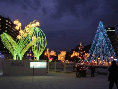 8 Amazing Tour Spots in Hokkaido! odori park